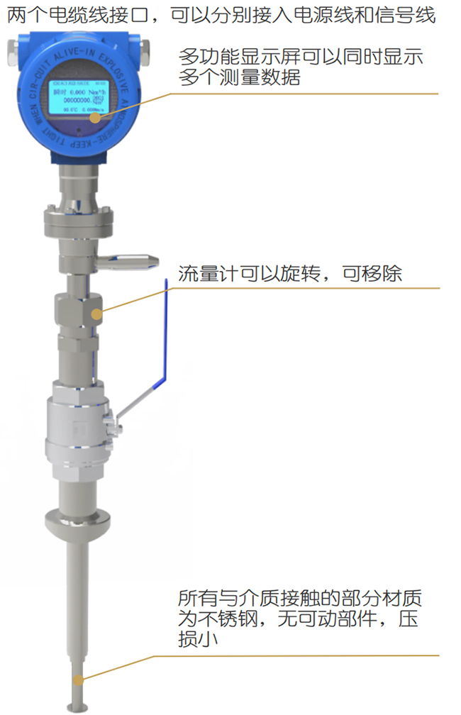 煙氣熱式氣體質(zhì)量流量計(jì)結(jié)構(gòu)圖